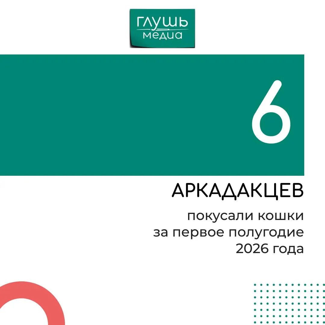 С начала 2026 года зафиксировано 35 случаев укусов: 29 собак и 6 кошек; ветеринары отмечают, что часть нападений была провоцирована, а многие произошли на улице из‑за агрессивного поведения животных, часто без намордников и поводков.