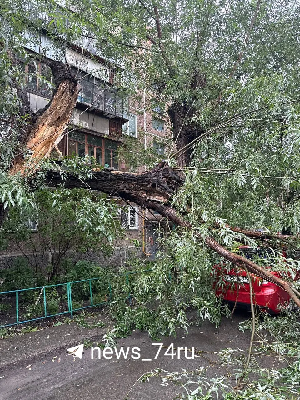 Утром во дворе на улице Образцова старое дерево упало на машину; повреждения будут оцениваться, проводится экспертиза.