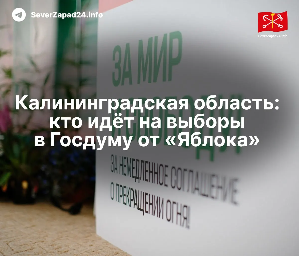 Партия Яблоко объявила полный список кандидатов в Госдуму по Калининградской области, включая региональные списки и одномандатные округа, с участием Антона Гендриксона и Романа Морозова.