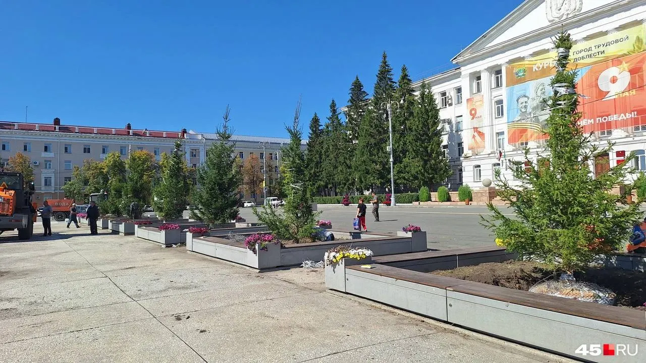 Жители города обсуждают замену старых деревьев на молодые и необходимость долговременного ухода за насаждениями, чтобы город стал зелёнее и комфортнее.