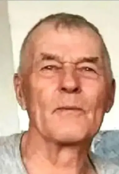 84-летний Константин Солодилов пропал во время прогулки с собакой; родственники и добровольцы прочесывают тайгу в радиусе около 5 километров от поселка.