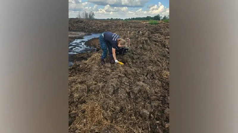 Проверка выявила размещение несанкционированных отходов, загрязнение почвы и нарушения при хранении отходов. Материалы переданы надзорным органам.