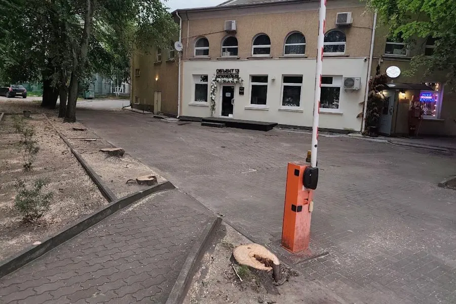 У входа в здание регионального отделения спортивного общества в Калининграде вырубили шесть лип; документ подтверждает снос по требованию и предусматривает высадку аналогичных деревьев взамен.