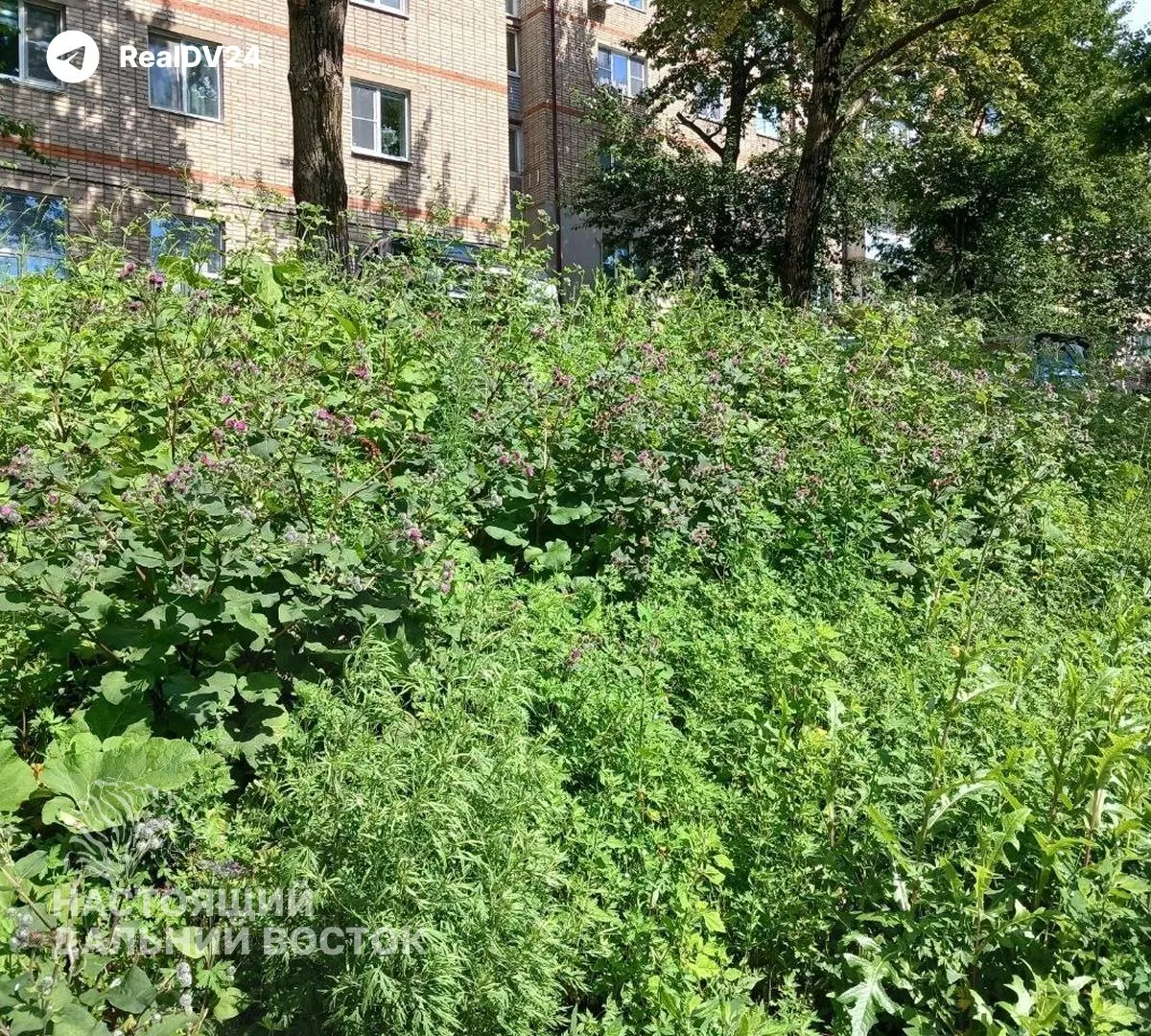 Мэрия объяснила причины задержек и корректировку графиков работ в зависимости от погоды.