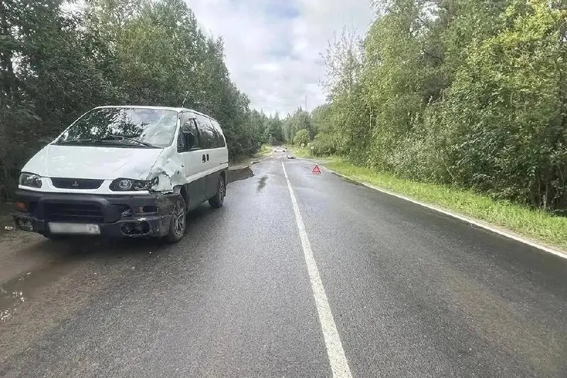 Утром 9 августа несовершеннолетний управляя питбайком выехал на встречную полосу и столкнулся с минивэном Mitsubishi. Пострадавший госпитализирован. Рассматривается вопрос о привлечении к административной ответственности законного представителя.