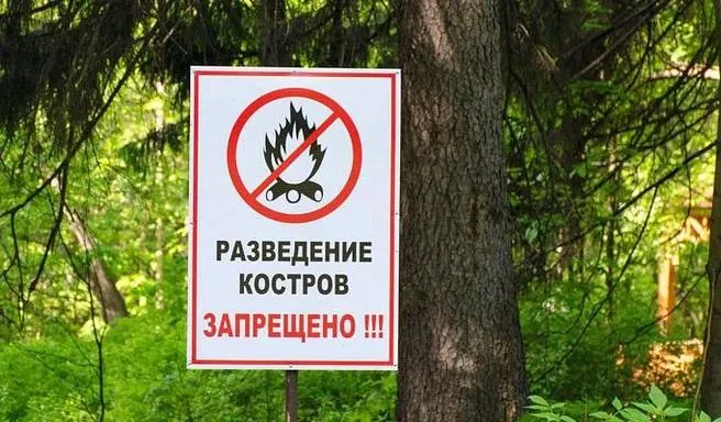 Разъяснение о возможности жарки шашлыков во время особого противопожарного режима в Сочи. Режим действует до 1 ноября.