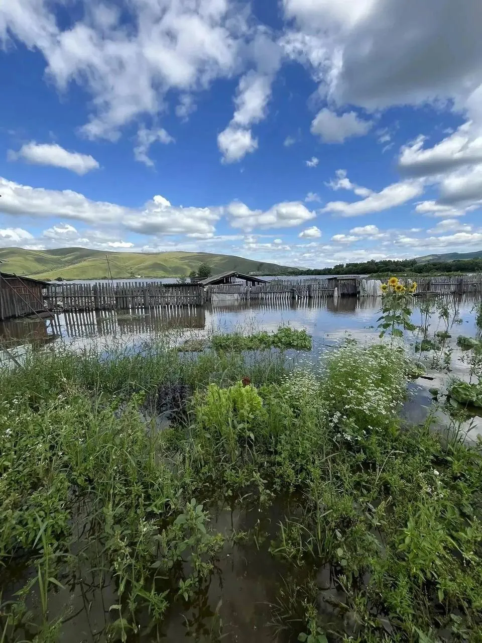 Вода подтопила около 13 участков; жители жалуются на отсутствие помощи, комментариев от властей пока нет.