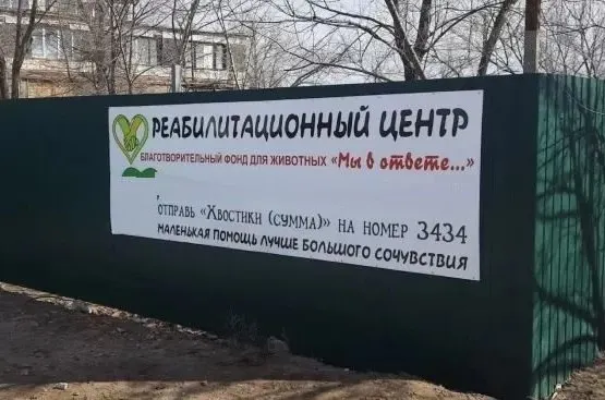 Продавец требует 3,9 млн рублей за объект; фонд сообщил, что приют будет переезжать на другое место.