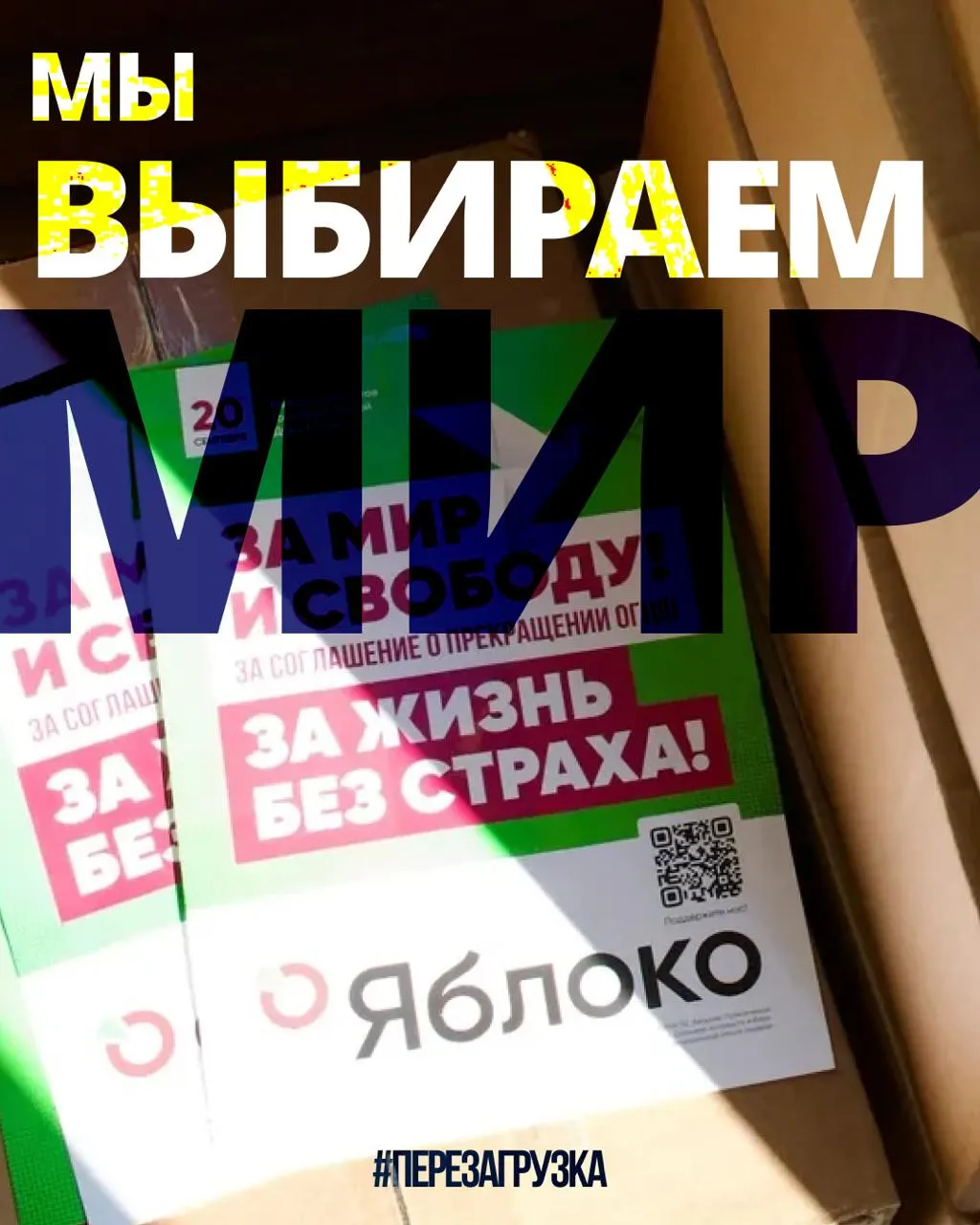 В 53 регионах идёт кампания 135 кандидатов от партии «Яблоко»; агитация разворачивается по всей стране. Поддержка растёт, а 20 сентября можно сделать выбор в пользу мира.