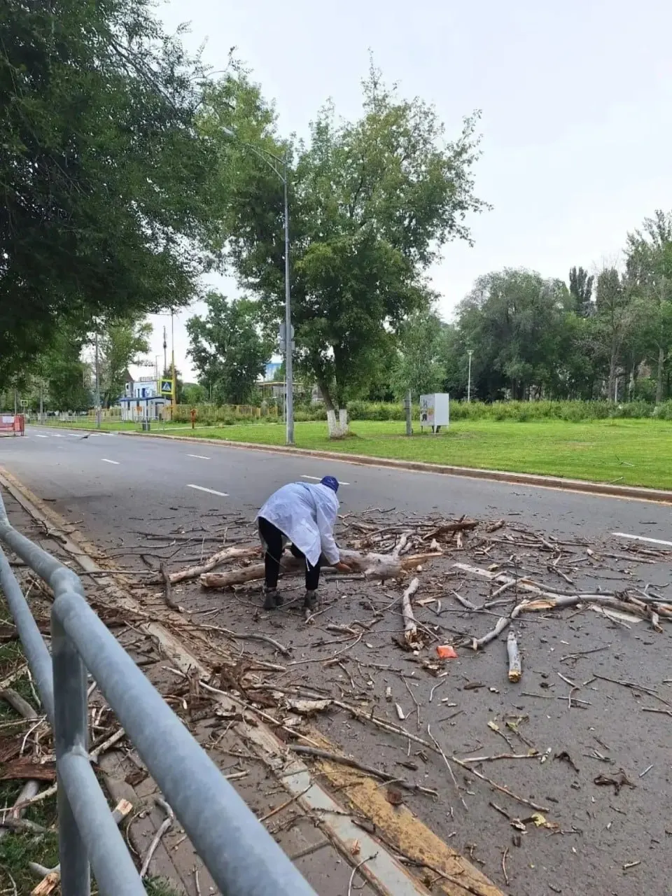 Добровольцы сами освободили проезжую часть от упавшего дерева, не дожидаясь коммунальных служб.