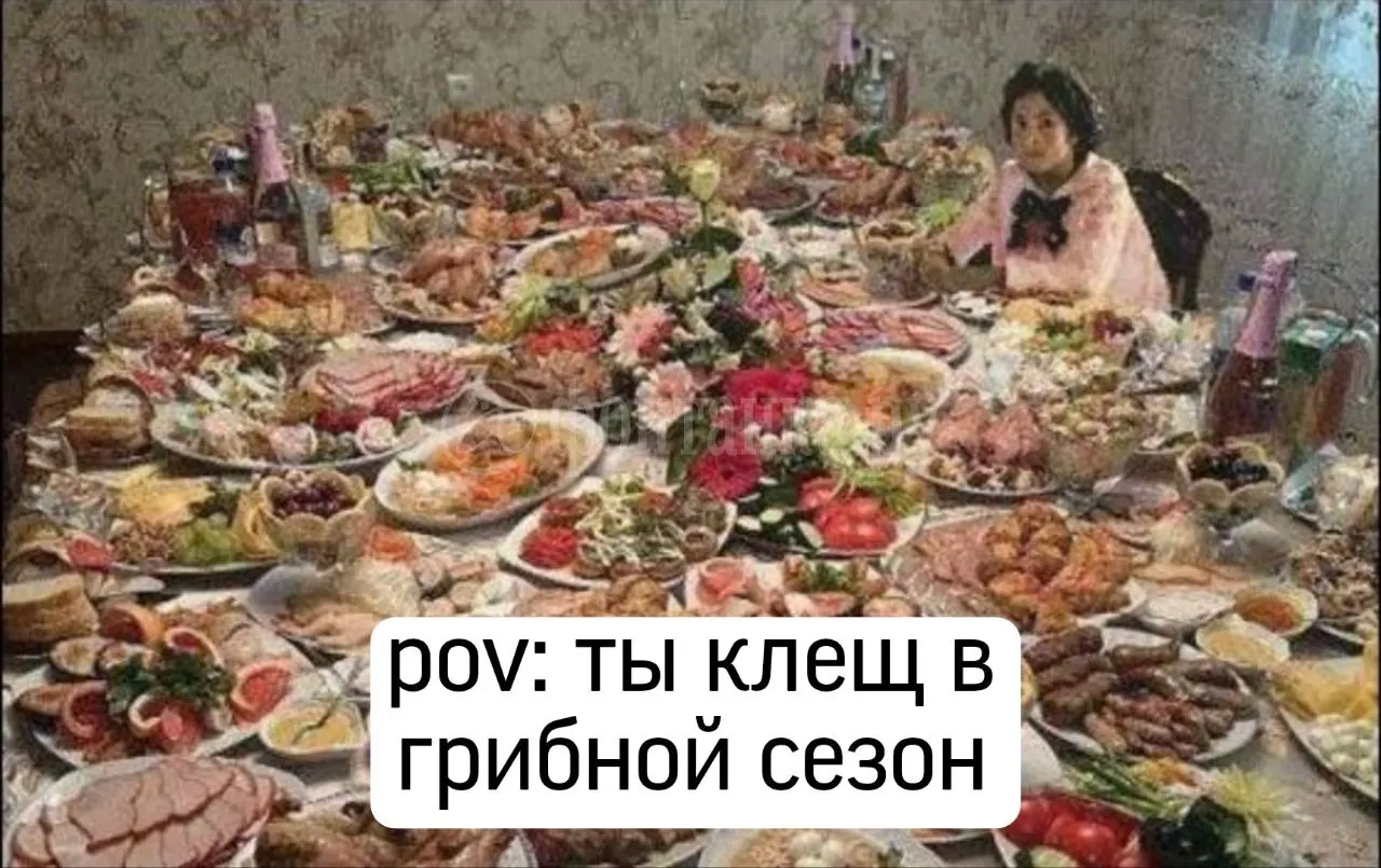 Большая часть пострадавших — жители Ленобласти; далее — жители Санкт‑Петербурга и другие регионы.