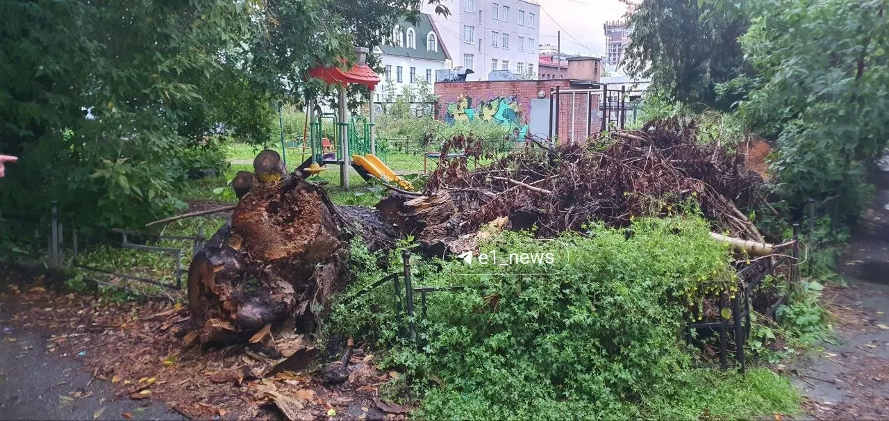 Дерево упало и перекрыло доступ к детской площадке; жильцы требуют срочной уборки и устранения угрозы.