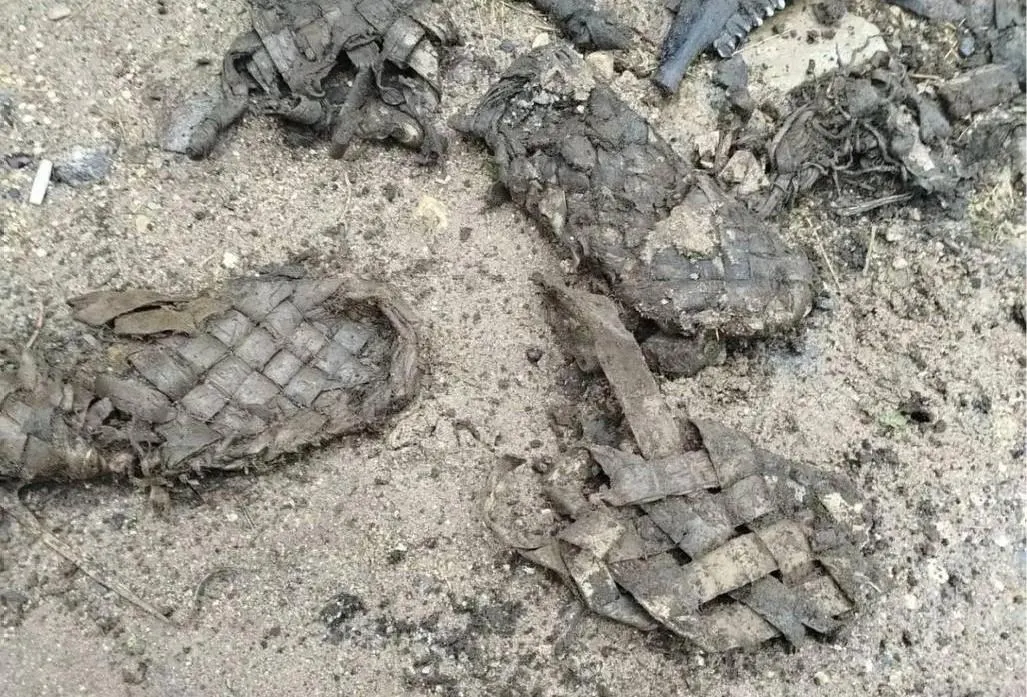 Во время работ на сетях в деревне Чудцы Ленинградской области найдены лапти, фрагменты древней дороги, крупный валун и обработанное бревно. Найденные предметы переданы в Пикалёвский краеведческий музей.