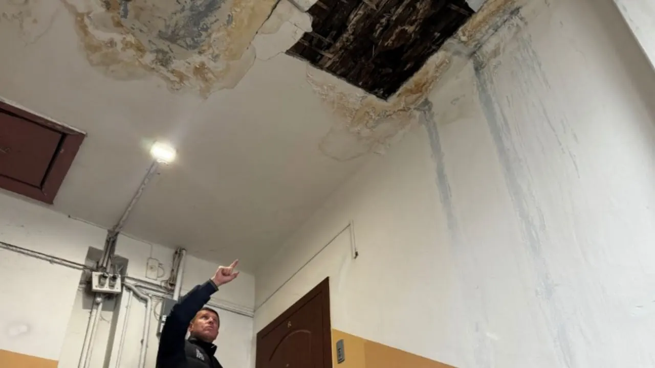Жители дома в Мурманске годами терпят затопления и плесень; чиновники заявили о проведённой проверке без жалоб, но требуют скорого решения проблемы.