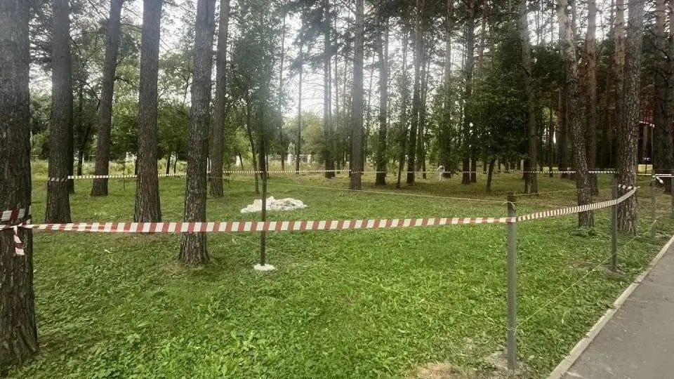 Новое мини-зоопарковое пространство позволит детям кормить животных и наблюдать за ними.