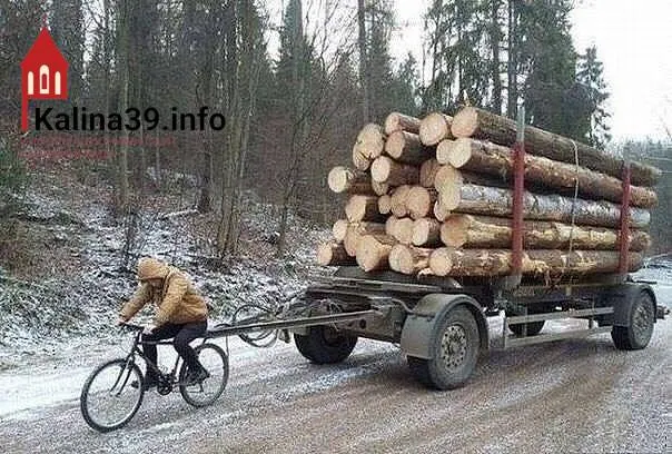Прокуратура региона зафиксировала разночтения в правилах обеспечения льготниками дров и предложила унифицировать процесс по всей области.