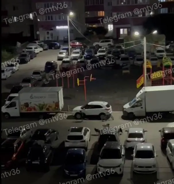 По словам местных жителей, ранее за животными приезжали отловщики, однако проблему решить не удалось; ведется расследование.