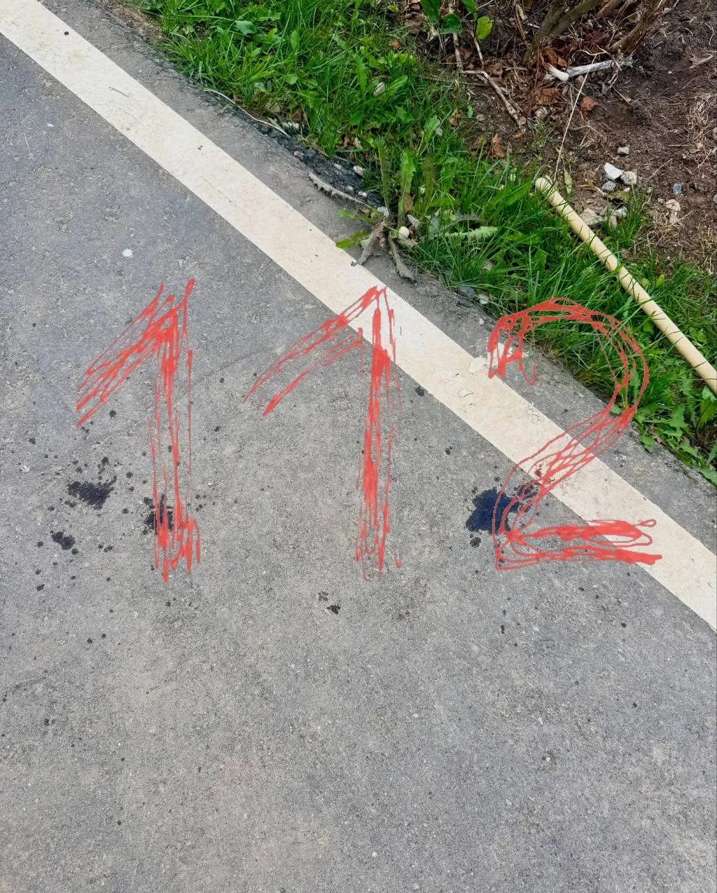 По словам хозяйки погибшего щенка, инцидент произошёл 17 августа: на мужчину, несшего двух шпицев Черри и Фаби, набросилась крупная собака породы американский булли без намордника; Фаби погиб, а пострадавшая утверждает, что ей был укушен палец; всё происходило на глазах её 5-летней дочери.