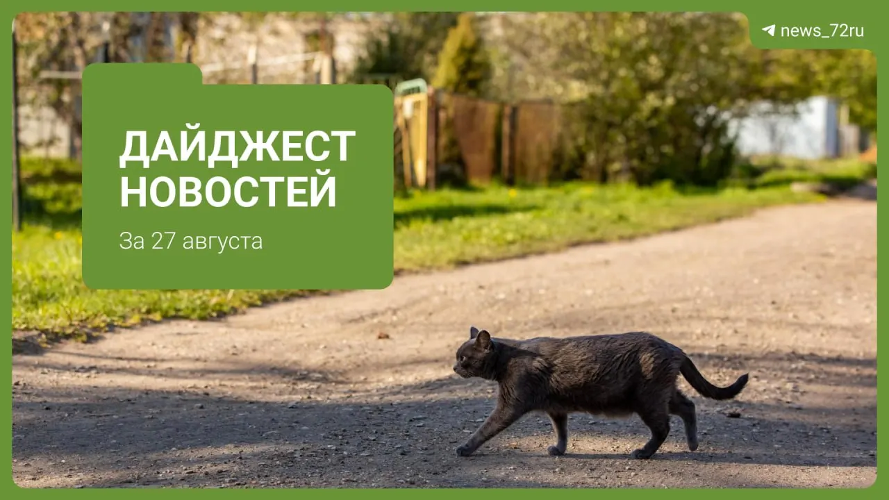 Дайджест локальных новостей: подорожание топлива, инциденты в общественных местах, а также вопросы образования и транспорта.