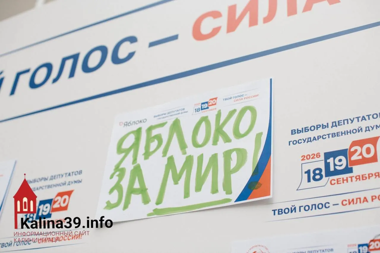 Региональный список получил третий номер; партия остаётся в бюллетенях по всей области и продолжает выдвигать кандидатов по округам №2 и №6, а также участвовать в выборах Госдумы по округу №100.