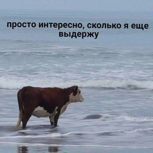 Усть-Илимская пенсионерка стала жертвой онлайн-мошенников, заманивших её в биржевые торги. Она перевела мошенникам крупные суммы и оформила кредиты, чтобы заработать, но разоблачила обман только позже.