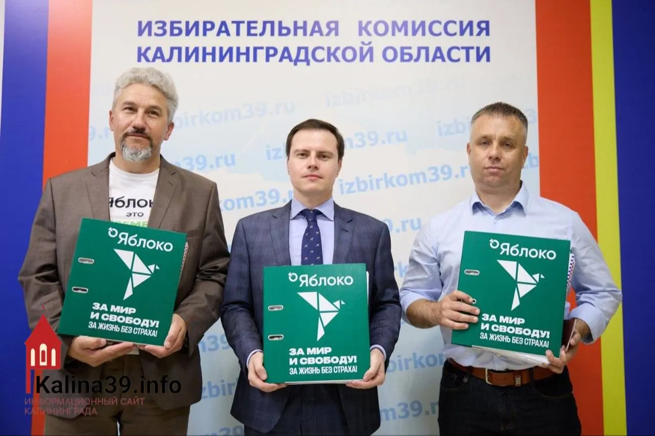 Избирательная комиссия зарегистрировала список партии «Яблоко» на выборах в Калининградскую область; в списке — 32 кандидата.