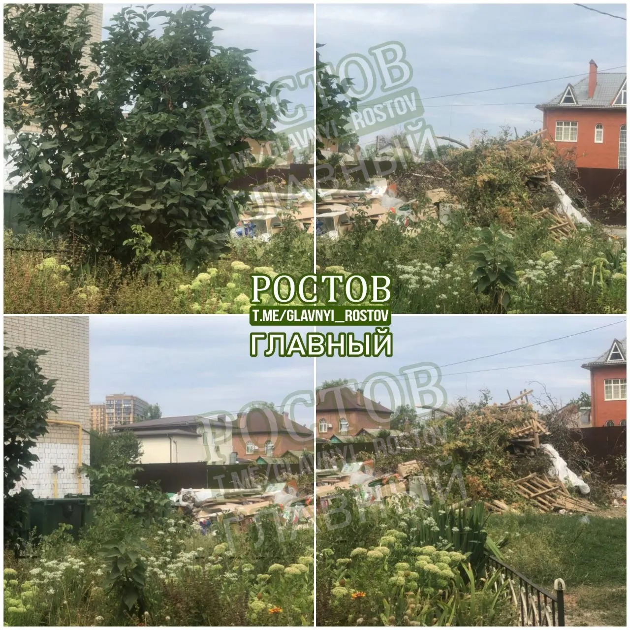 Жители Ростова сообщают о сильной невывозке мусора возле баков в микрорайоне Берберовка, растет гора отходов и создаются неудобства.