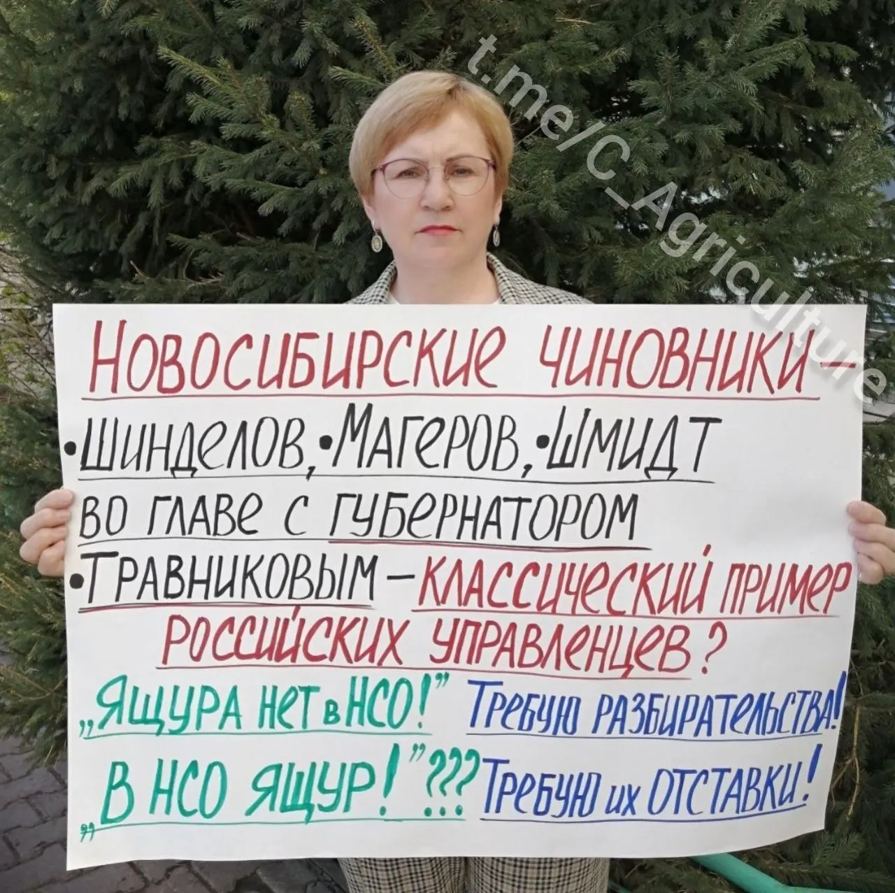 Бывшая кандидатка в горсовет оказалась в СИЗО по обвинению в призывах к экстремистской деятельности.