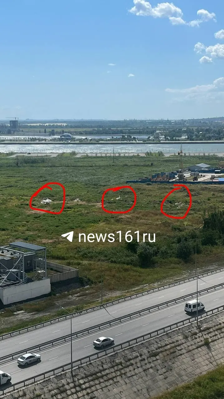Горожане сообщают о продолжающейся стихийной свалке вдоль улицы Бориса Слюсаря; власти признают проблему, но уборки не останавливают рост мусора, расходы уходят на озеленение.