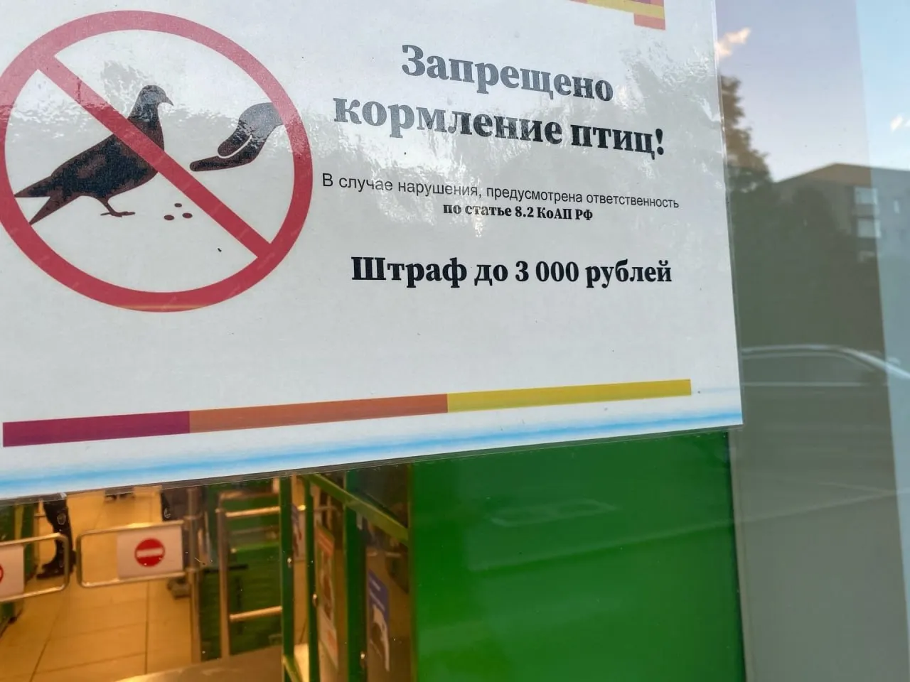 Горожане заметили предупреждающие таблички и штрафы за нарушение запрета; поднимается тема культуры заботы о птицах и безопасного взаимодействия города и птиц.