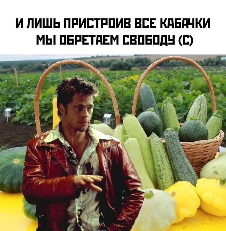 Свежие овощи и фрукты принимаются до октября; десятки тонн урожая уже направлены в пользу обитателей зоопарка.