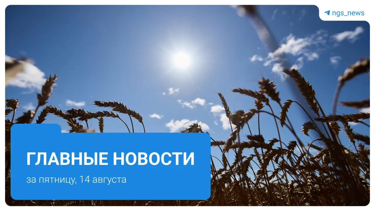 Коротко: в регионе зафиксированы самые дешевые продукты в Сибири, продолжаются поиски пропавшего главы сельсовета, на улицах появляются просьбы купить лекарства, будет суд за избиение подростков, произошёл бензовоз в одном из районов.