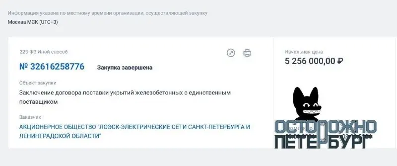 На реализацию проекта выделено 5,2 млн рублей; стоимость одного укрытия — 26 тысяч рублей. В документах не указана цель закупки, места размещения и технические характеристики.