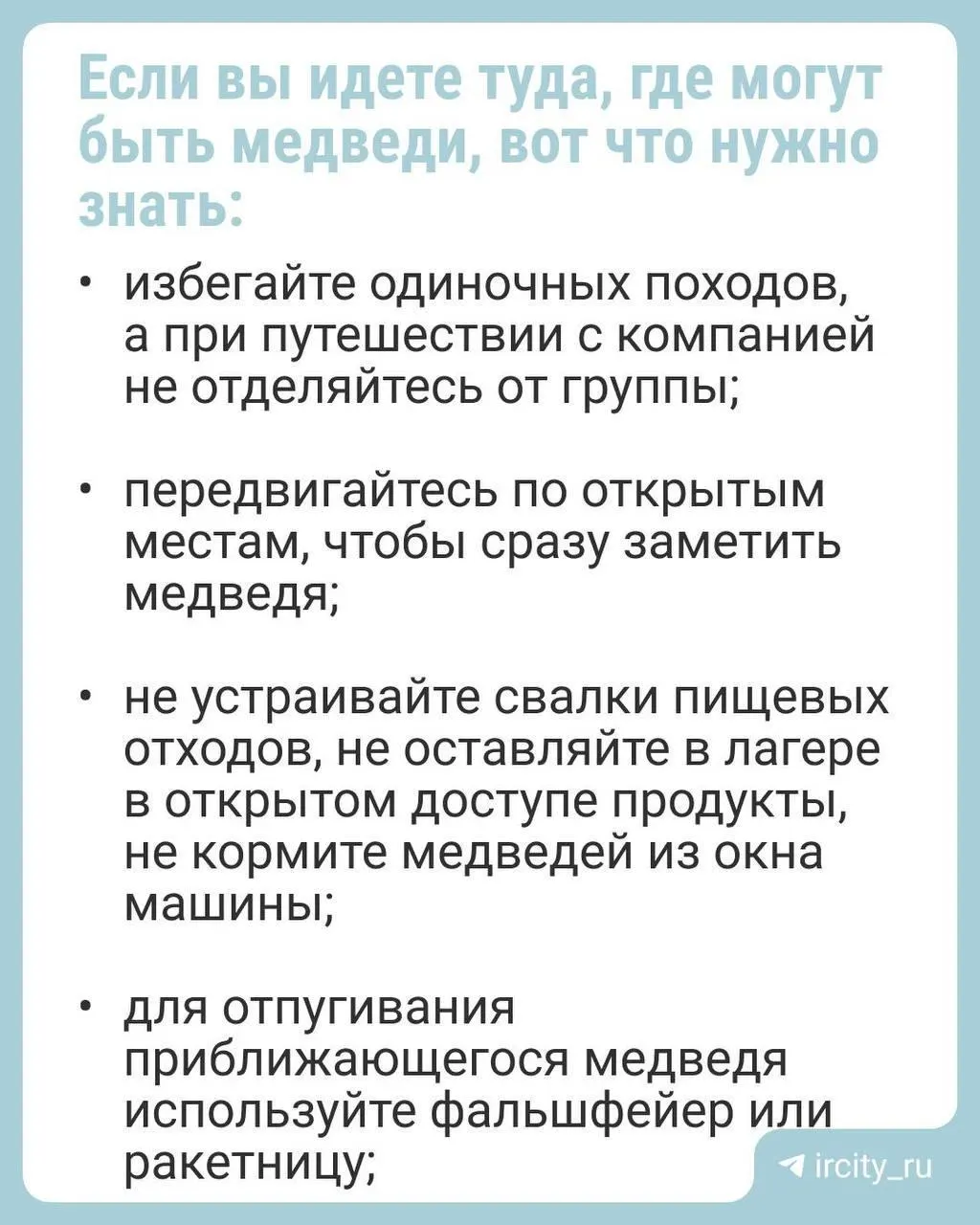 За сутки зафиксировано 12 встреч медведей с людьми в Братске и близлежащих районах, в том числе нападения на домашних животных.