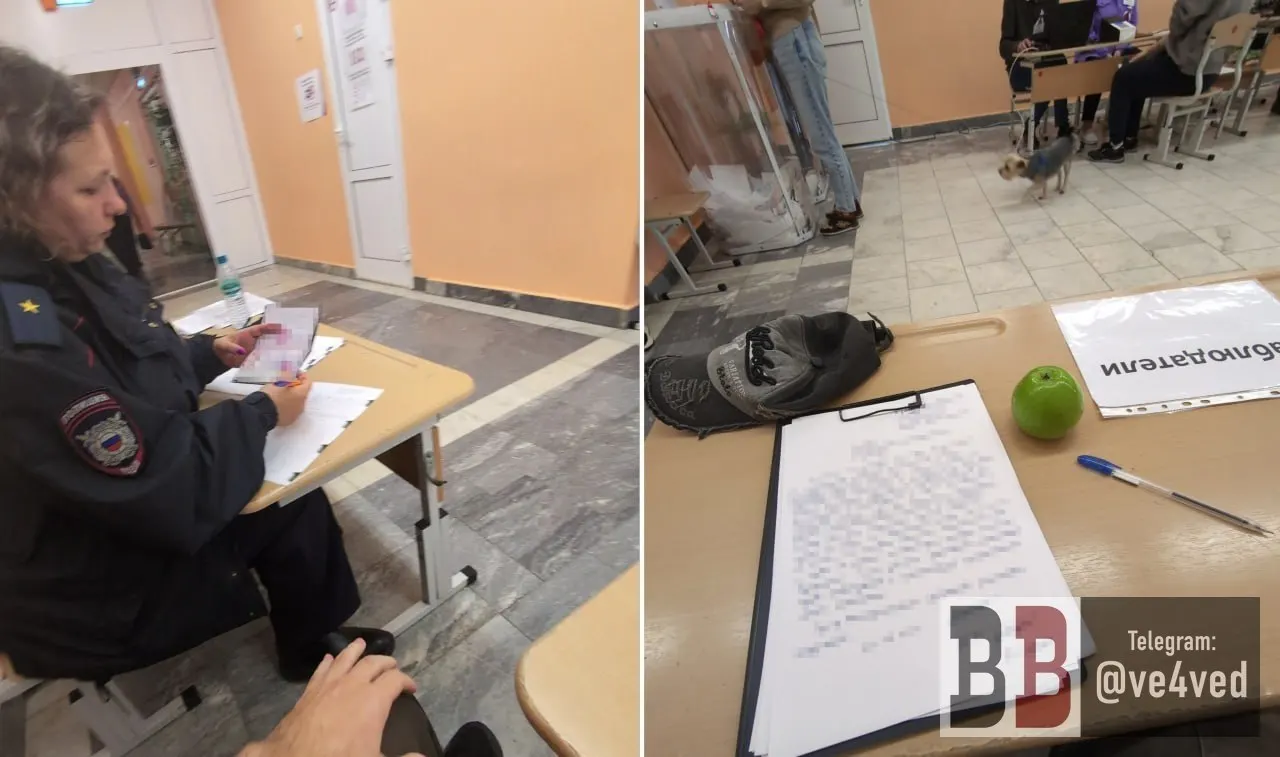Наблюдателю на участке №1457 изъяли яблоко, назвав это агитацией; полиция взяла объяснительную, протоколов не составляли.
