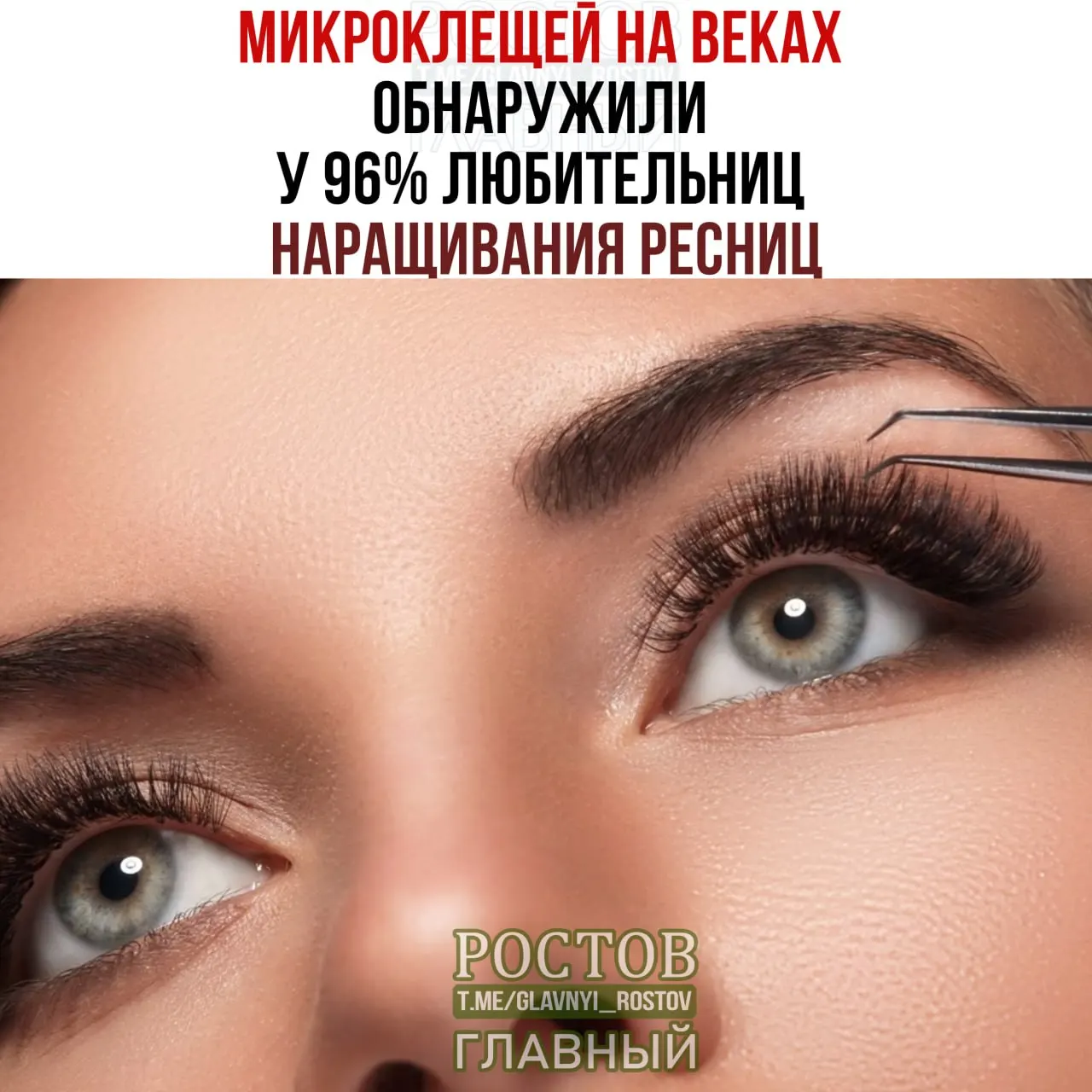 Новое исследование указывает на широкое распространение паразитических клещей среди пользователей наращённых ресниц.