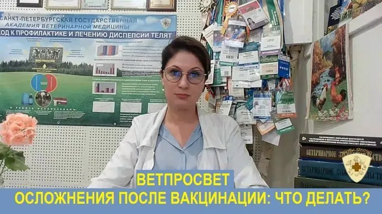 Кандидат ветеринарных наук и эпизоотолог столкнулся с давлением после публикаций инструкций для владельцев собак по действиям при осложнениях после вакцинации препаратом «Мультикан-8».