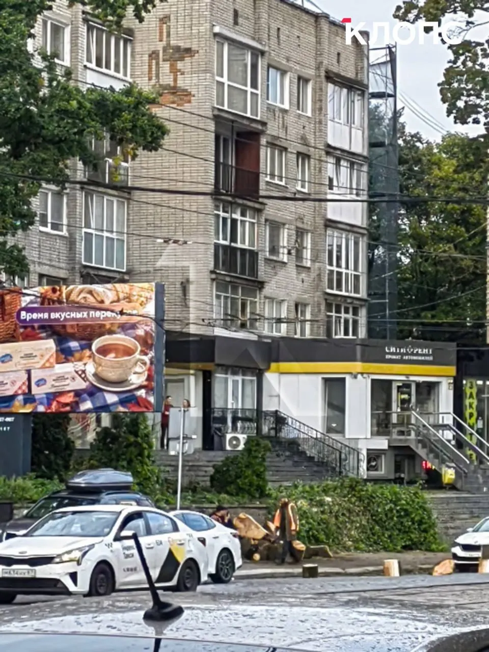 Свидетельства говорят, что дерево было высотой с дом, а его ствол обхватывали лишь двое людей. Причины вырубки пока неизвестны.