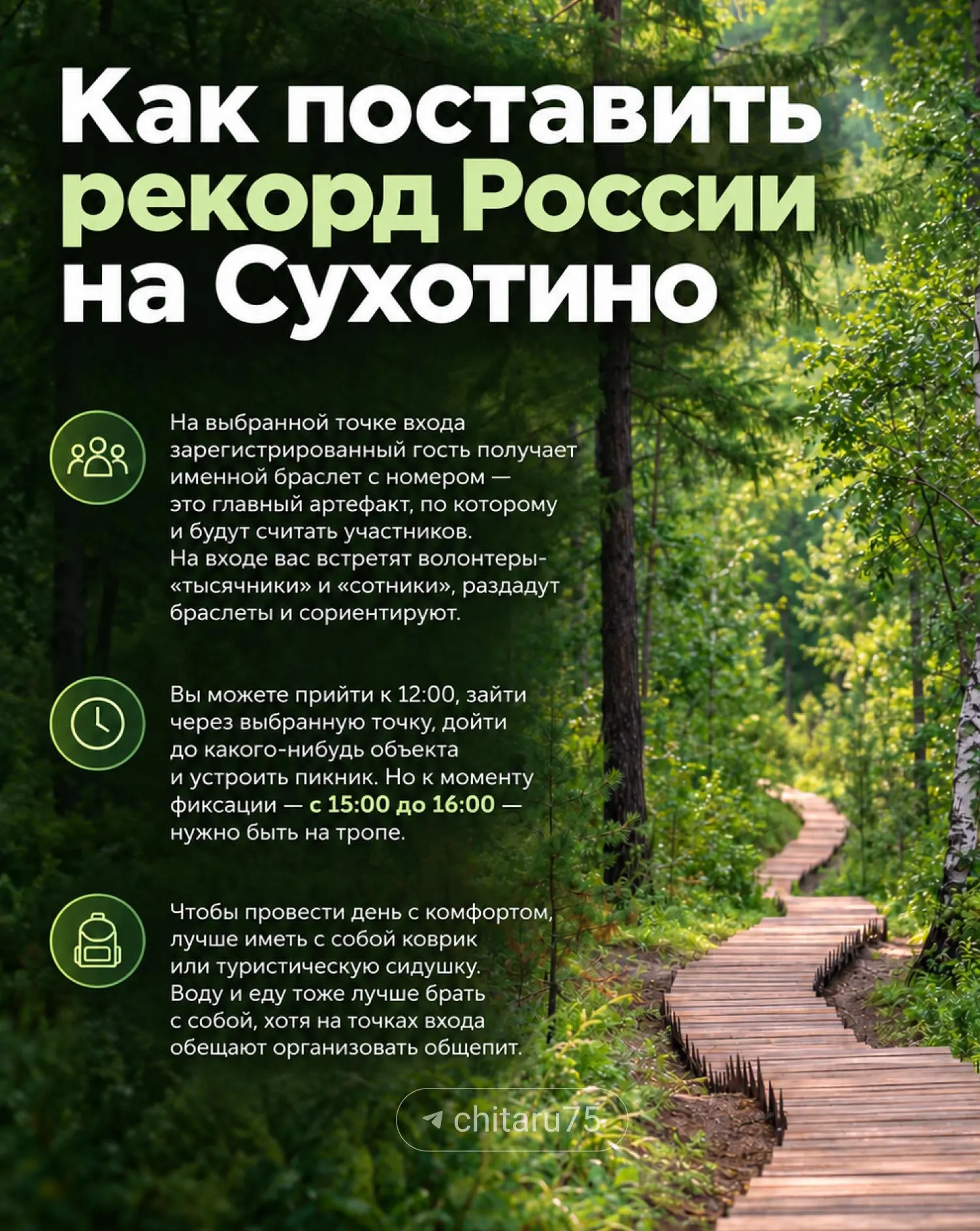 12 сентября в Чите пройдет масштабное мероприятие на экотропе с целью установить рекорд России по одновременному присутствию.