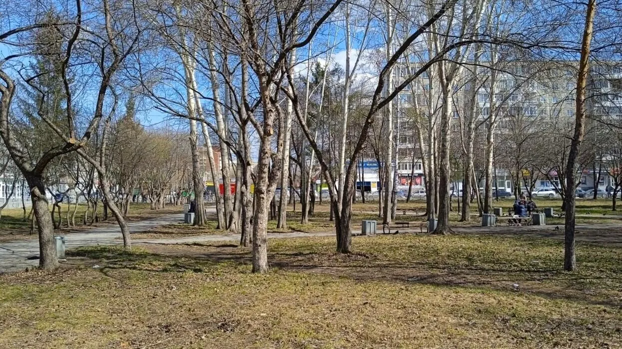 Администрация города объявила о начале отбора подрядчика для благоустройства сквера на ВИЗе, на пересечении ул. Крауля и Викулова. Стоимость работ — 999,96 тыс. рублей; работы должны быть завершены к 31 октября текущего года.