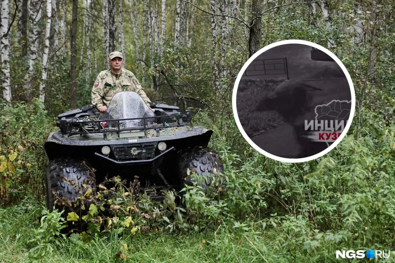 Ночью зверь был замечен в регионе, утром его местоположение уточняют. Зверь не подходил к жилым домам.