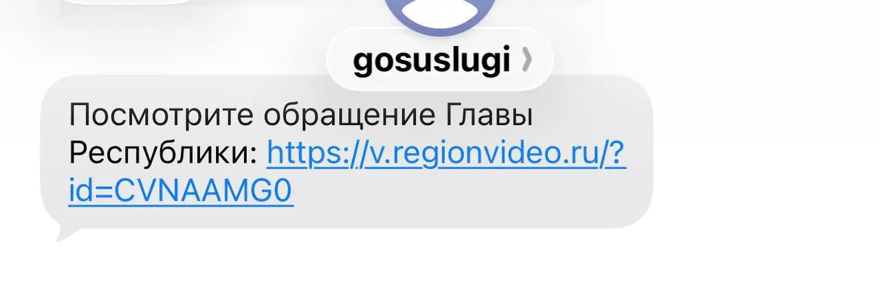 В регионе распространилось обращение главы через сервис госуслуг с итогами прошлых лет; возникают вопросы о контексте и политической подоплеке перед голосованием.