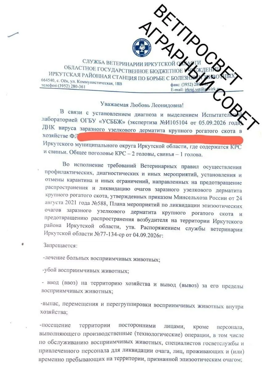 Жители деревни сообщили о попытке проникнуть на частную территорию без предъявления документов; расследование возглавлено начальником управления сельского хозяйства Иркутского района.