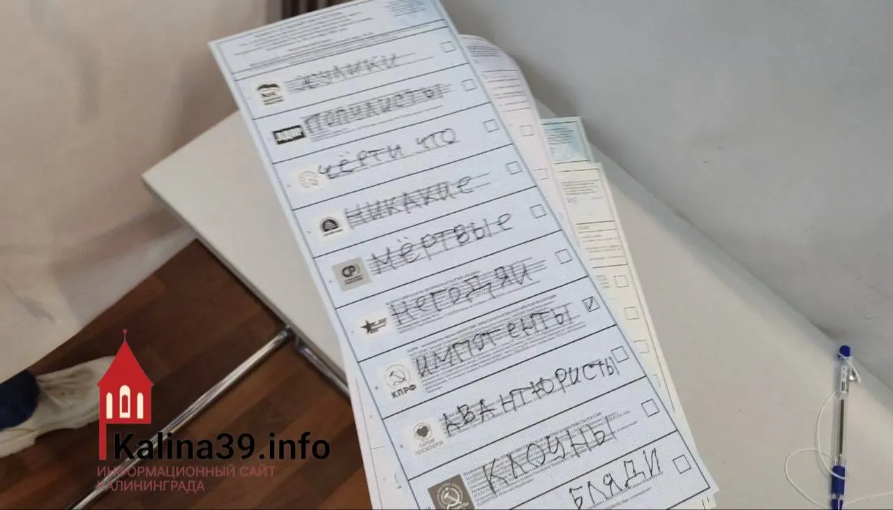 Избиратели региона публикуют бюллетени с критикой партий; один голосующий выразил свое мнение резкими словами.
