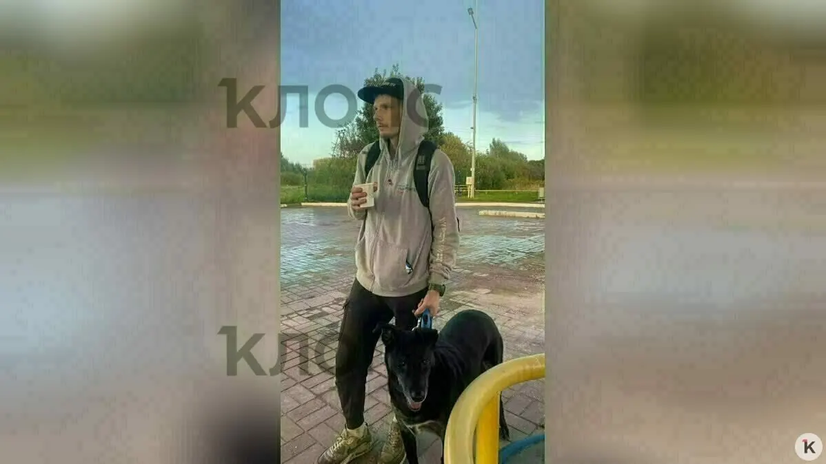После публикации рассказа о мужчине, который сменил прошлую жизнь ради любви, ему предложили работу в приюте для собак и поддержку от местных жителей.