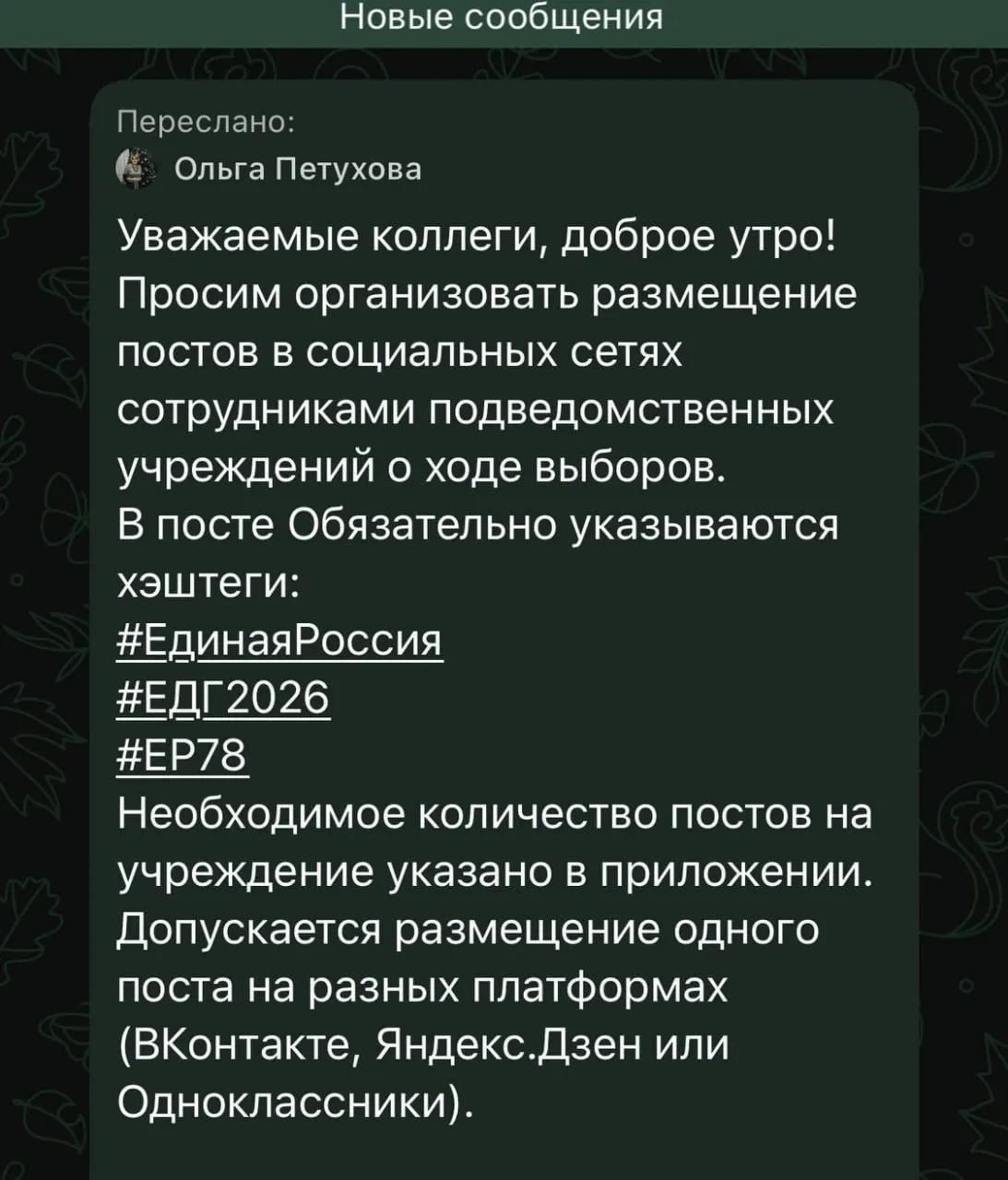 В переписках образовательных учреждений Санкт-Петербурга описывали инструкцию публиковать в соцсетях посты с хэштегами Единая Россия.