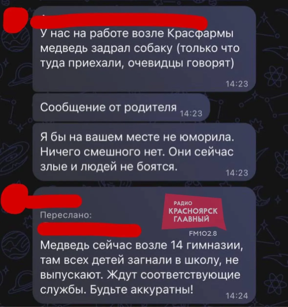 Хищник замечен рядом с гимназией и на остановке; ученики продолжают находиться в здании до выяснения ситуации.