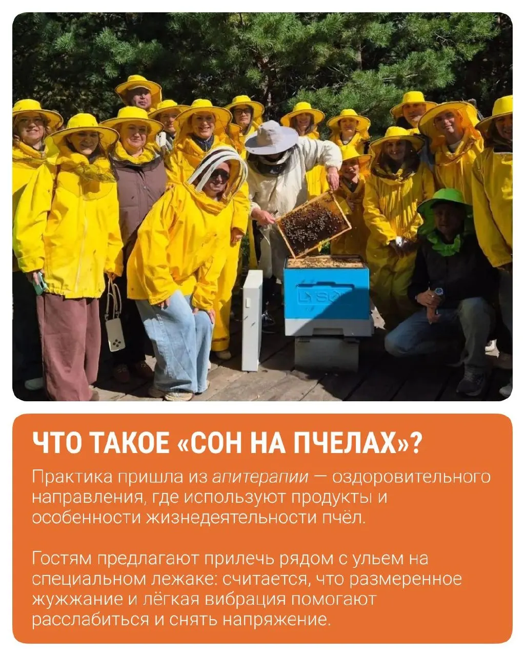 Участники из более чем 30 регионов изучали, как превратить хозяйство в туристическую площадку, и познакомились с примерами реального агротуризма.