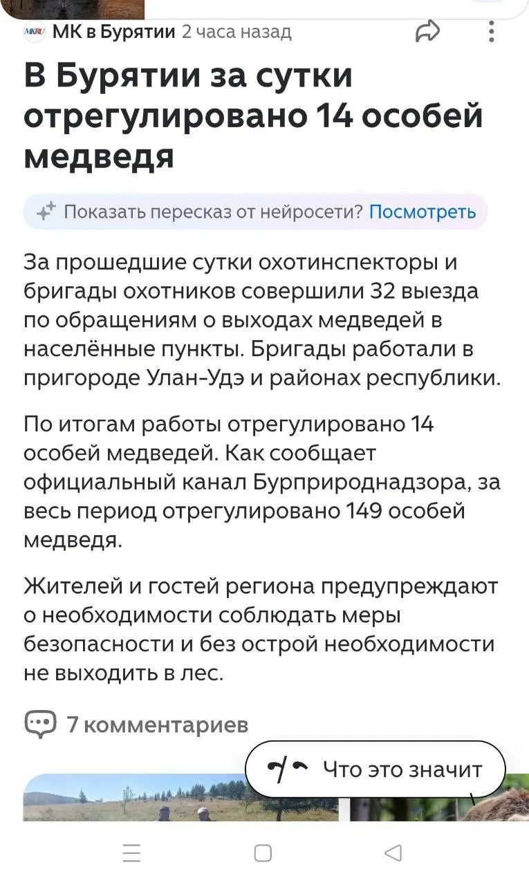 В городе Закаменск из-за появления медведя в черте населённого пункта некоторые образовательные учреждения перешли на дистанционный формат занятий.