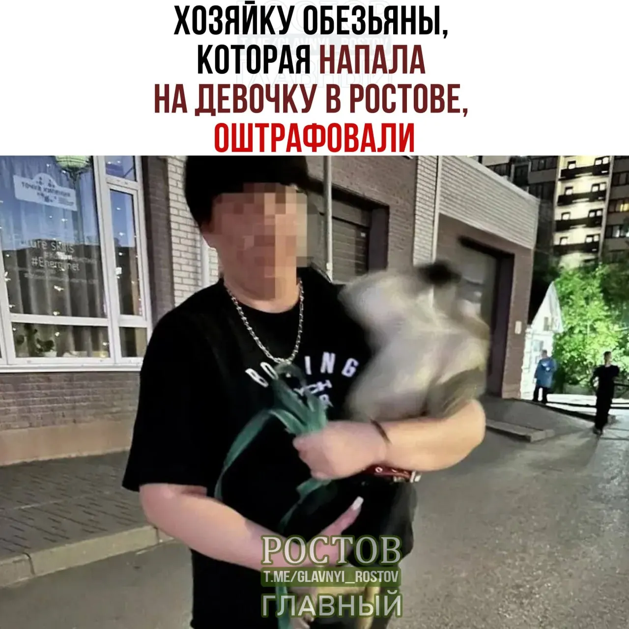 Обезьяна набросилась на ребенка возле общежитий ЮФУ; хозяйке назначен штраф в размере 70 тысяч рублей.